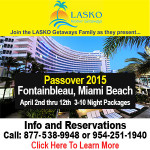 lasko-banner-300-300-001