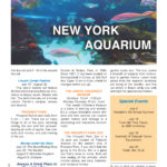 FullMagazine_Page_134