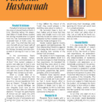 FullMagazine_Page_028