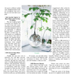 FullMagazine_Page_124