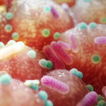 microbes_epithelium_gut_AD