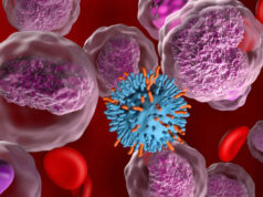 RAD52 Breakthrough Offers Hope for Targeted Cancer Therapy