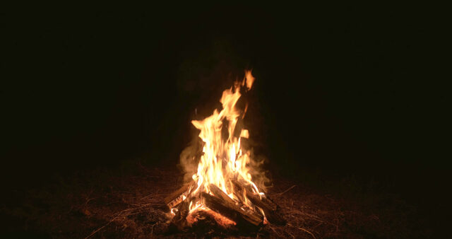 Night bonfire fire on black yellow logs flame heat