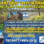 2026-Tu BShvat-Banner-940×788
