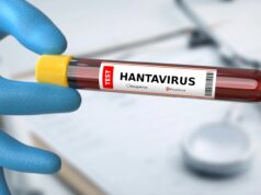 The Hantavirus Scare