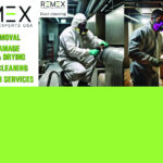 REMEX+